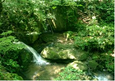 Waldbach Waldbach